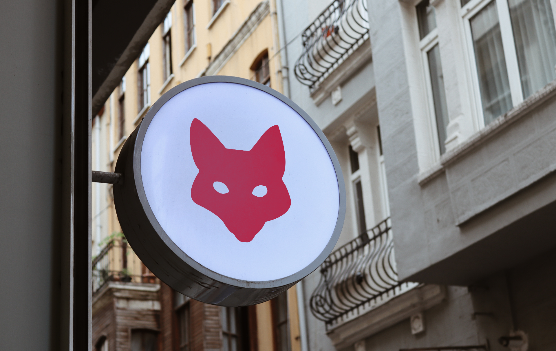 Vixens mockup 1